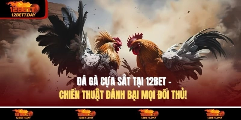 Đá Gà Cựa Sắt Tại 12BET – Chiến Thuật Đánh Bại Mọi Đối Thủ!